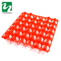 Poultry equipment transparent egg crate plastic chicken tray